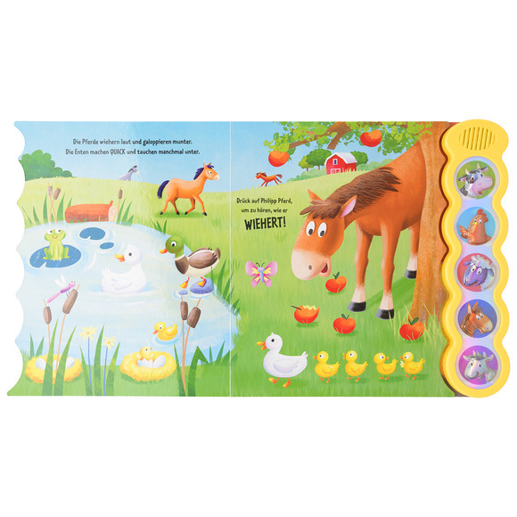 Baby Soundbuch Bauernhof