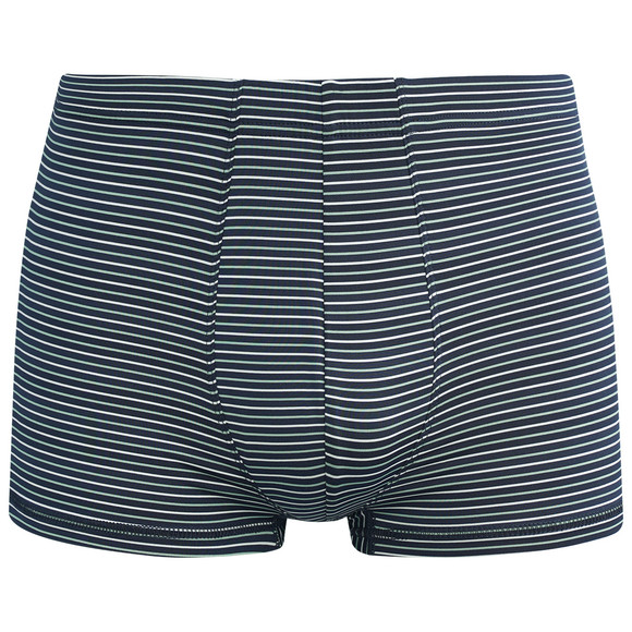 Herren Mikrofasershorts mit Streifen