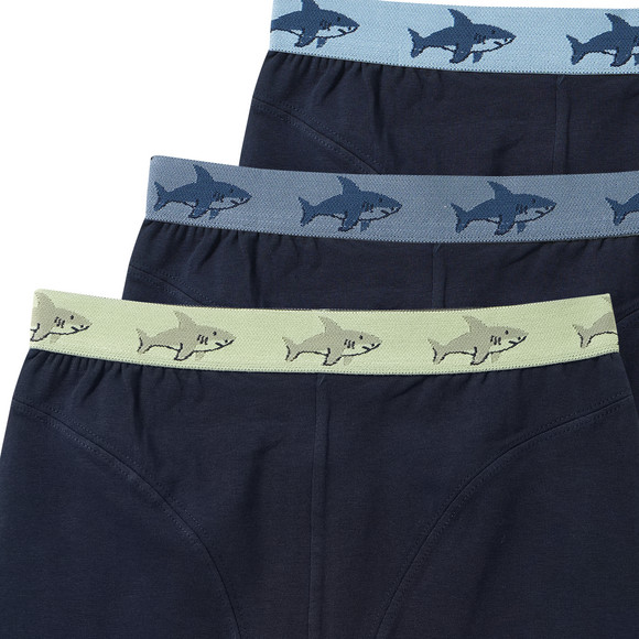 3 Jungen Boxer mit Webbund