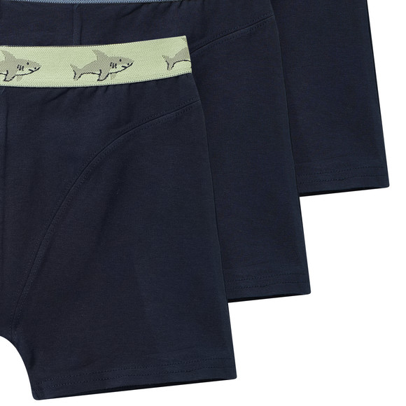 3 Jungen Boxer mit Webbund