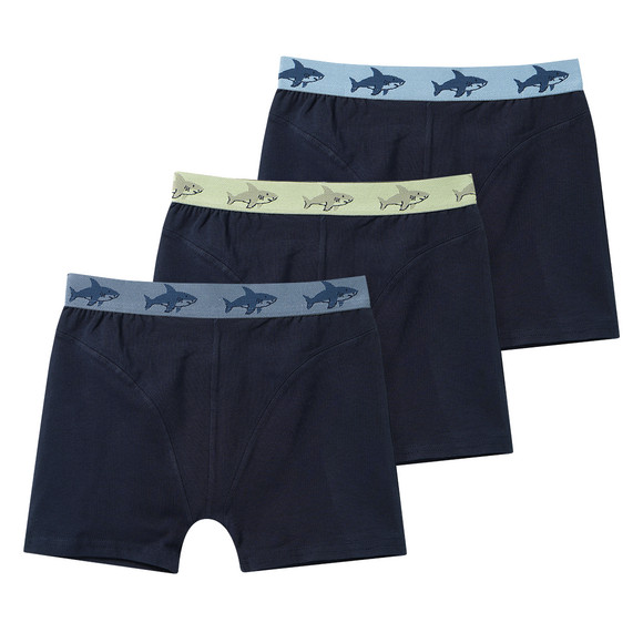 3 Jungen Boxer mit Webbund