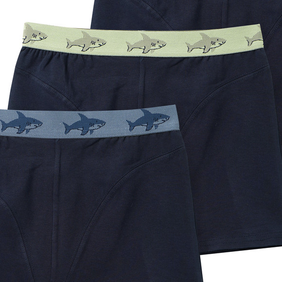 3 Jungen Boxer mit Webbund