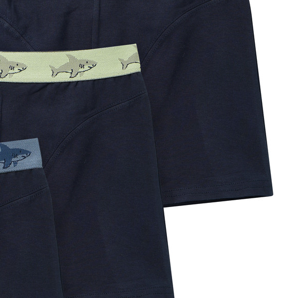 3 Jungen Boxer mit Webbund