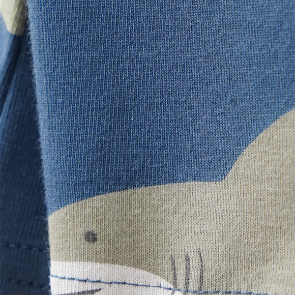 5 Jungen Boxer mit Hai-Motiven