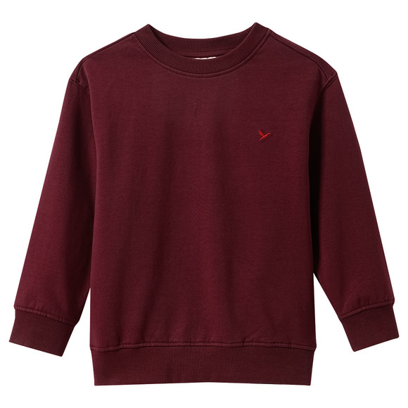 Jungen Sweatshirt mit Stickerei