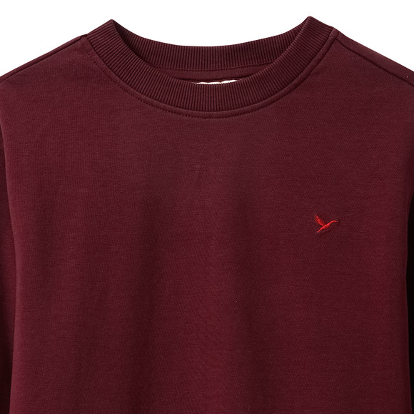 Jungen Sweatshirt mit Stickerei