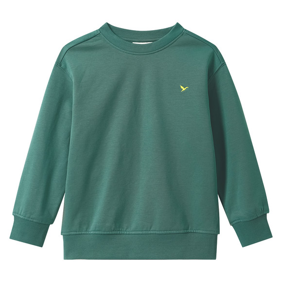 Jungen Sweatshirt mit Stickerei