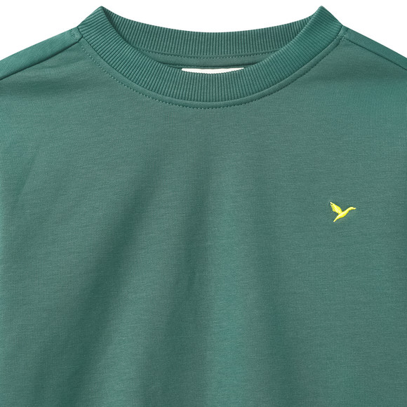 Jungen Sweatshirt mit Stickerei