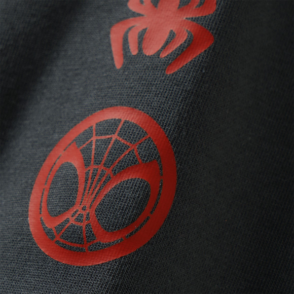 MARVEL Hoodie mit Bio-Baumwolle