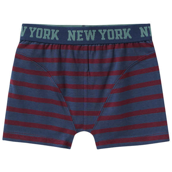 5 Jungen Boxer im Set