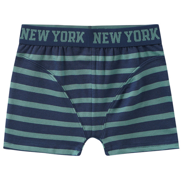 5 Jungen Boxer im Set