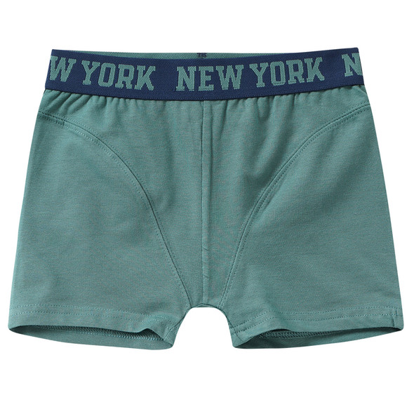 5 Jungen Boxer im Set