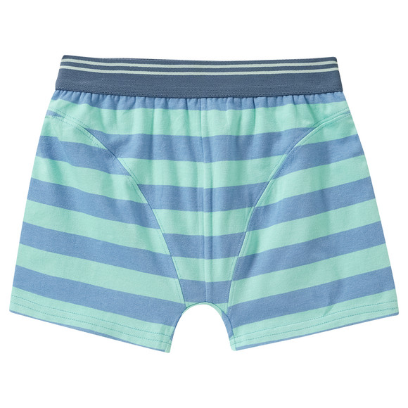 5 Jungen Boxer im Set