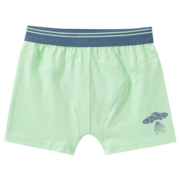 5 Jungen Boxer im Set