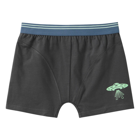 5 Jungen Boxer im Set