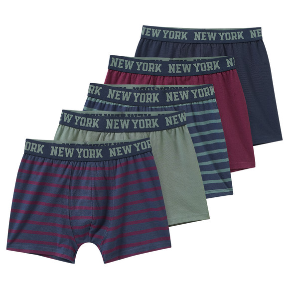 5 Jungen Boxer im Set