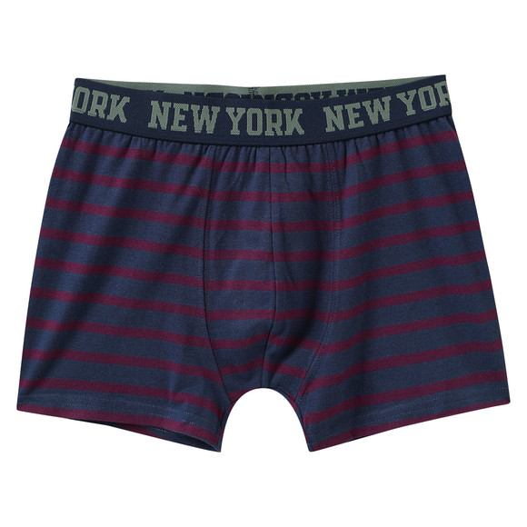 5 Jungen Boxer im Set