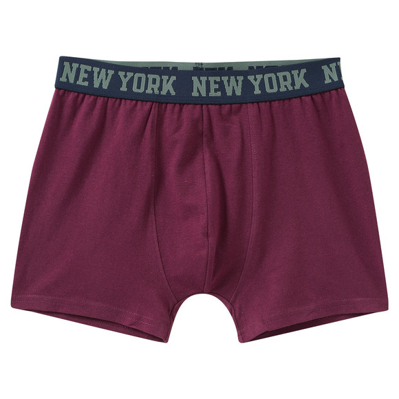 5 Jungen Boxer im Set