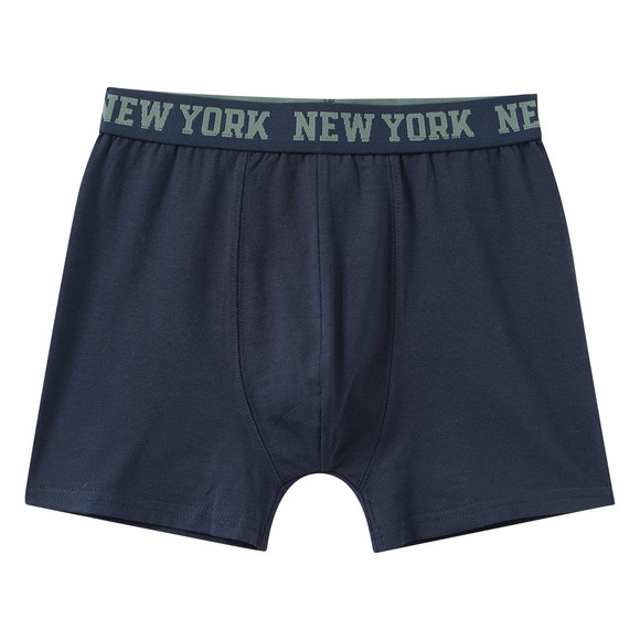 5 Jungen Boxer im Set
