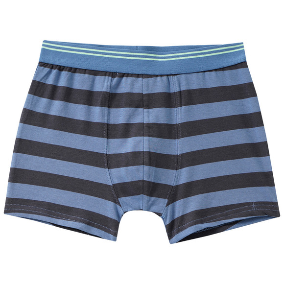 5 Jungen Boxer im Set