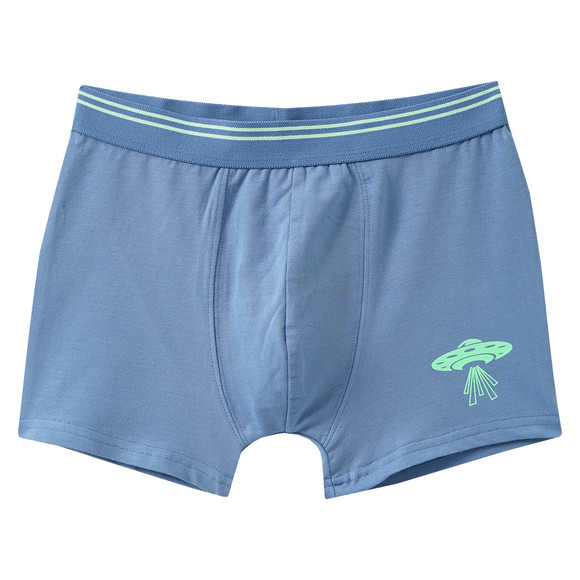 5 Jungen Boxer im Set