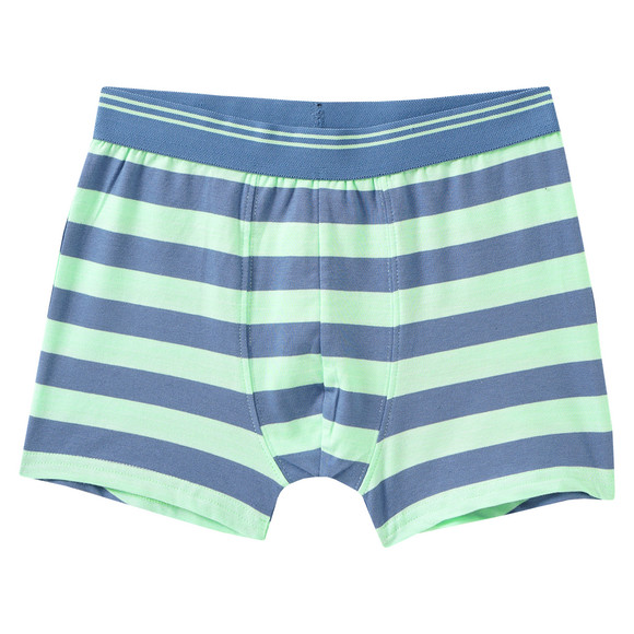5 Jungen Boxer im Set