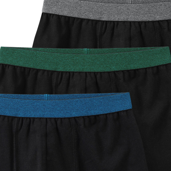 3 Jungen Boxer im Set