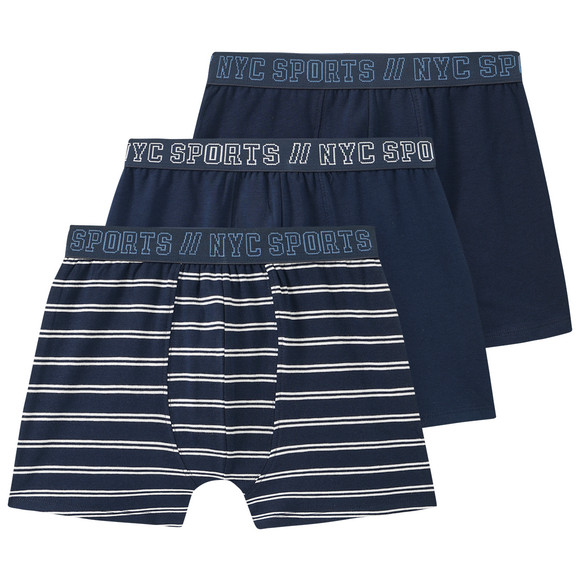 3 Jungen Boxer mit Webbund