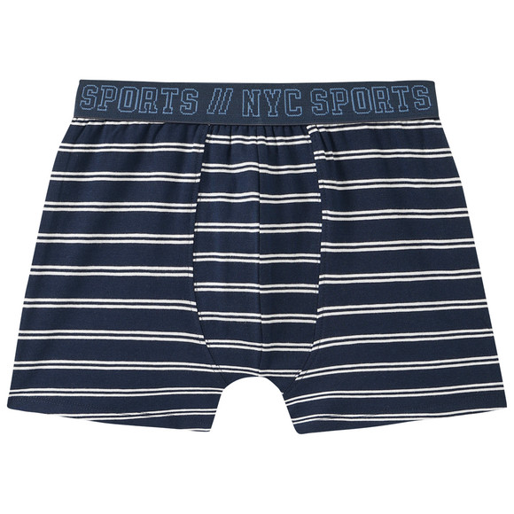 3 Jungen Boxer mit Webbund