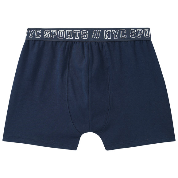 3 Jungen Boxer mit Webbund
