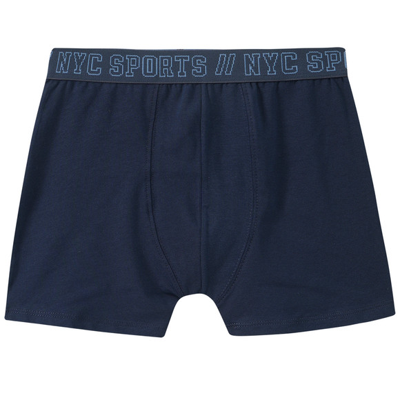 3 Jungen Boxer mit Webbund