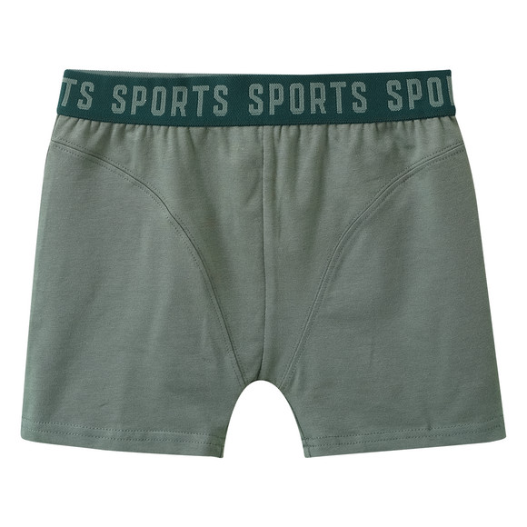 5 Jungen Boxer mit elastischem Webbund