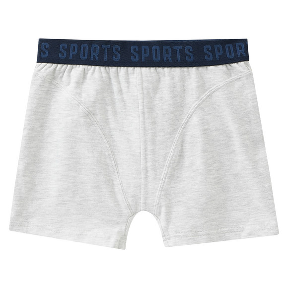 5 Jungen Boxer mit elastischem Webbund