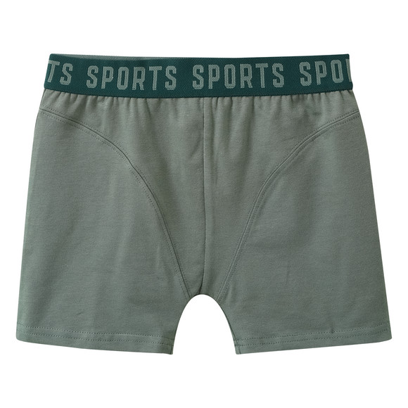 5 Jungen Boxer mit elastischem Webbund