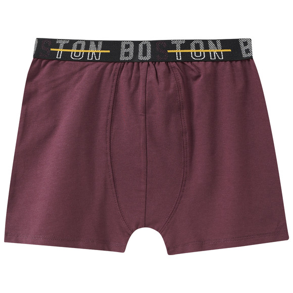 Set van 3 boxershorts voor jongens