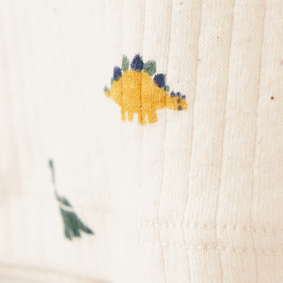 2 Baby Unterhemden mit Dino-Motiven