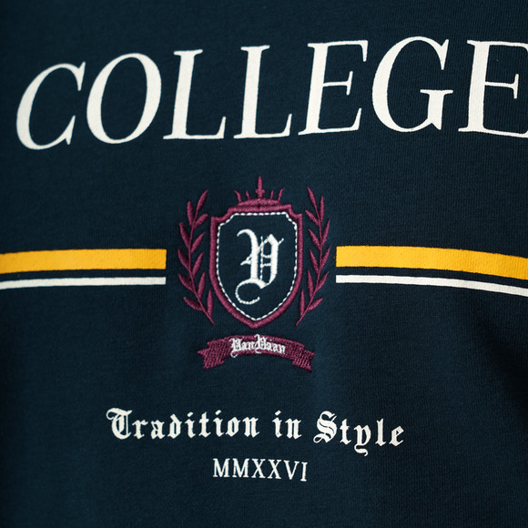 Herenhoodie met collegeprint 