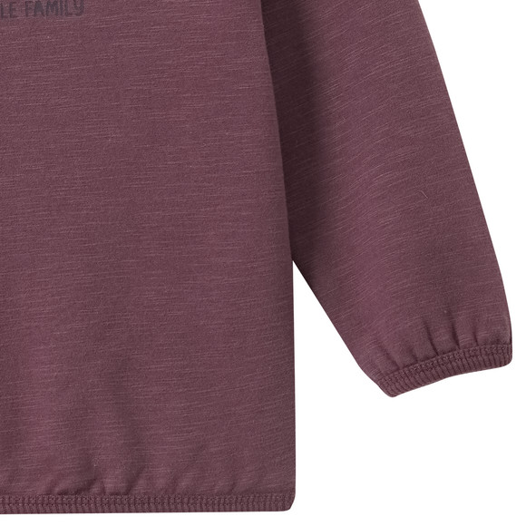 Baby Sweatshirt mit Dino-Applikation