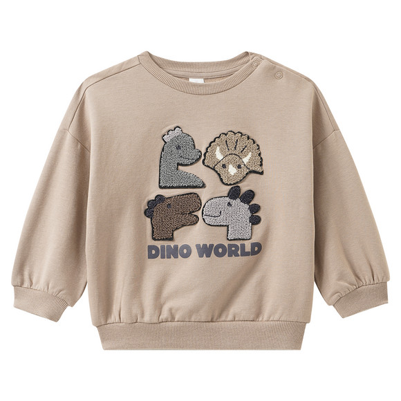 Baby Sweatshirt mit Dino-Applikation
