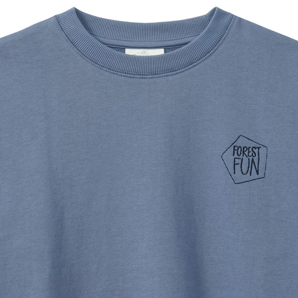 Jungen Sweatshirt mit Stickerei