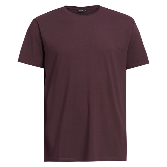 2 Herren T-Shirts mit Rundhalsausschnitt