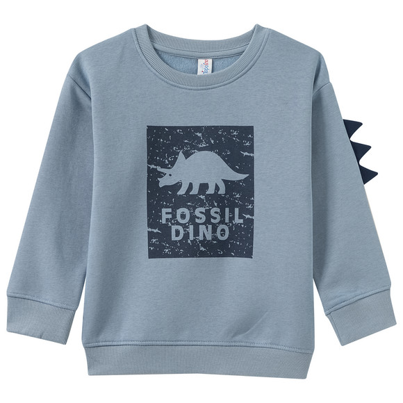 Jungen Sweatshirt mit Dino-Motiv