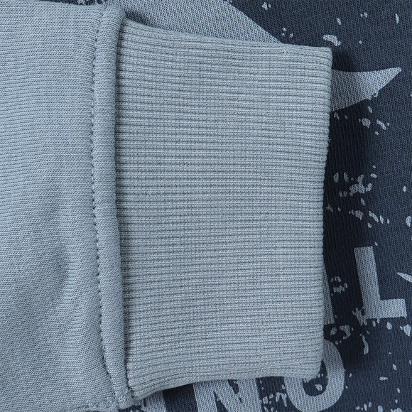 Jungen Sweatshirt mit Dino-Motiv