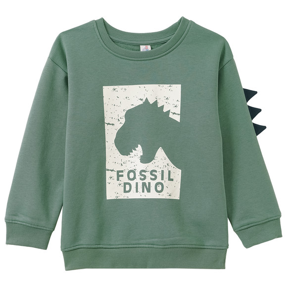 Jungen Sweatshirt mit Dino-Motiv