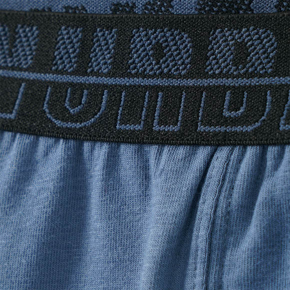 3 Jungen Boxer mit Webbund