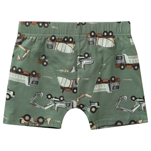 5 Jungen Boxer