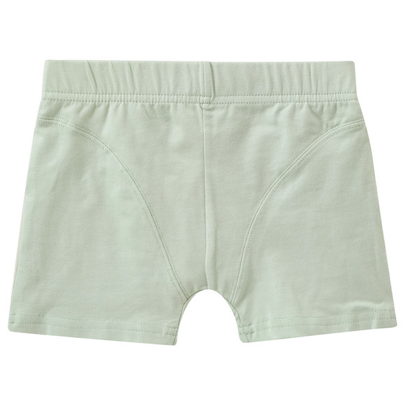 5 Jungen Boxer