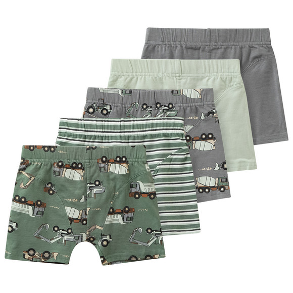 5 Jungen Boxer