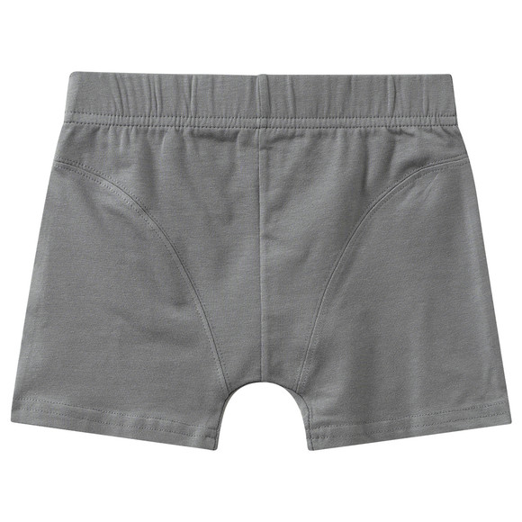 5 Jungen Boxer