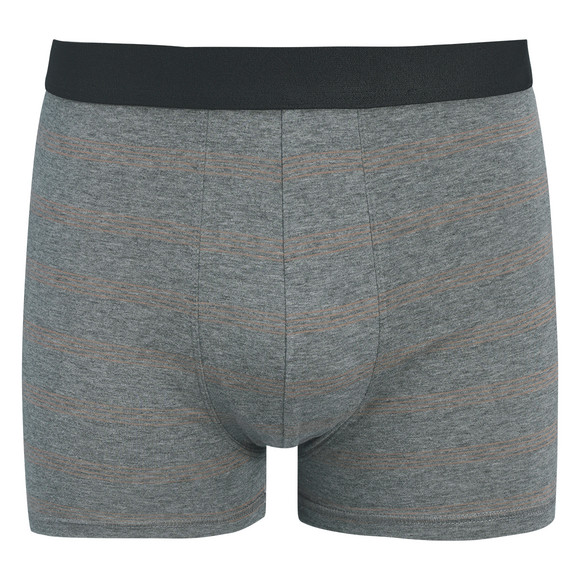 Herren Retroshorts mit Webbund